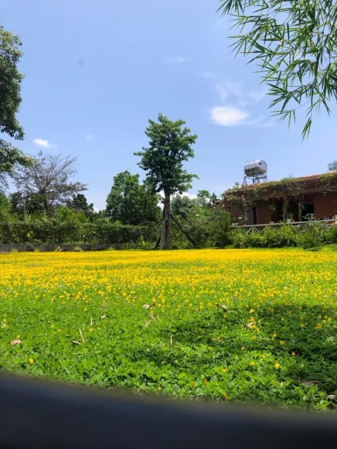 بون ما توت Dugiang Homestay المظهر الخارجي الصورة