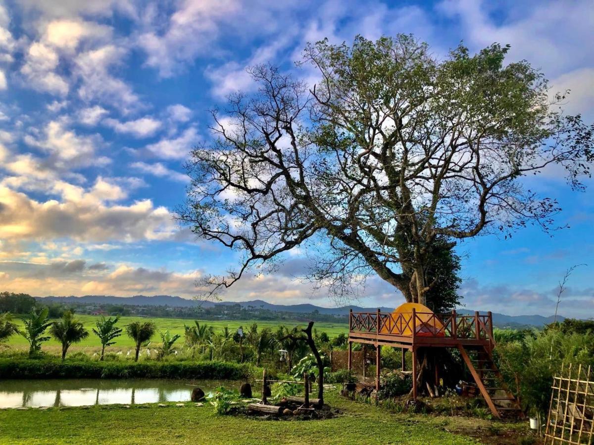بون ما توت Dugiang Homestay المظهر الخارجي الصورة